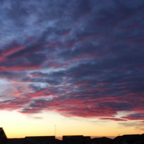 Meet your Posher, Amy - Picture 6 of 6